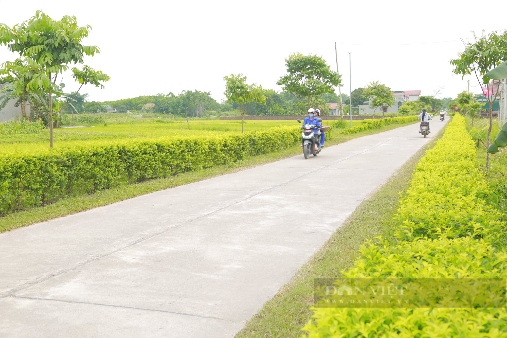Nhìn lại hành trình 12 năm xây dựng nông thôn mới ở Quảng Ninh - Ảnh 4.