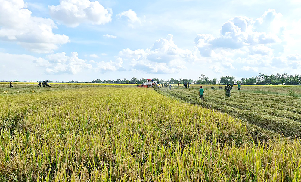 Một thoáng An Giang - Ảnh 5.