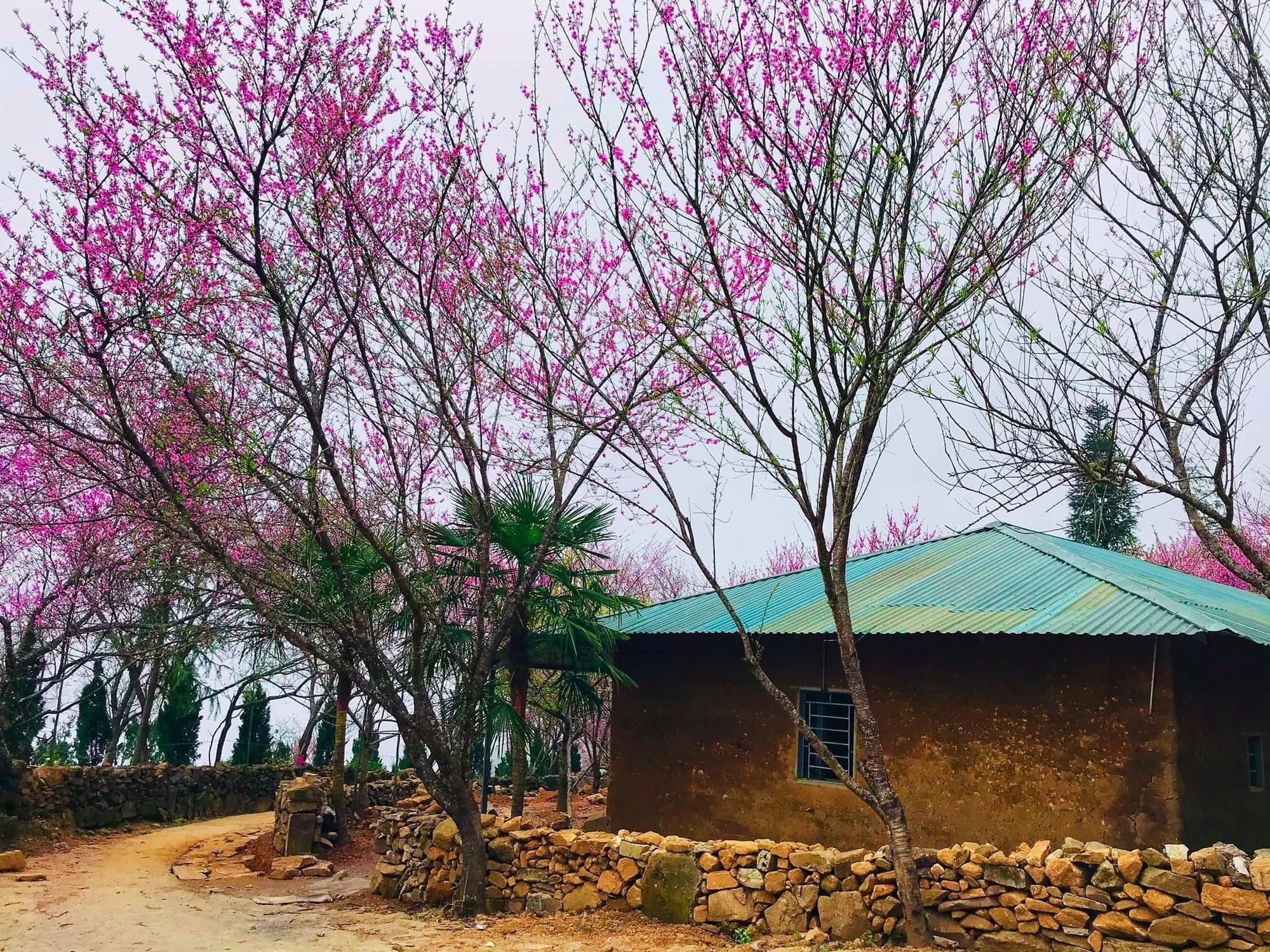4 tỉnh thành với nét văn hoá đặc sắc hút du khách đam mê du lịch khám phá địa phương - Ảnh 22.
