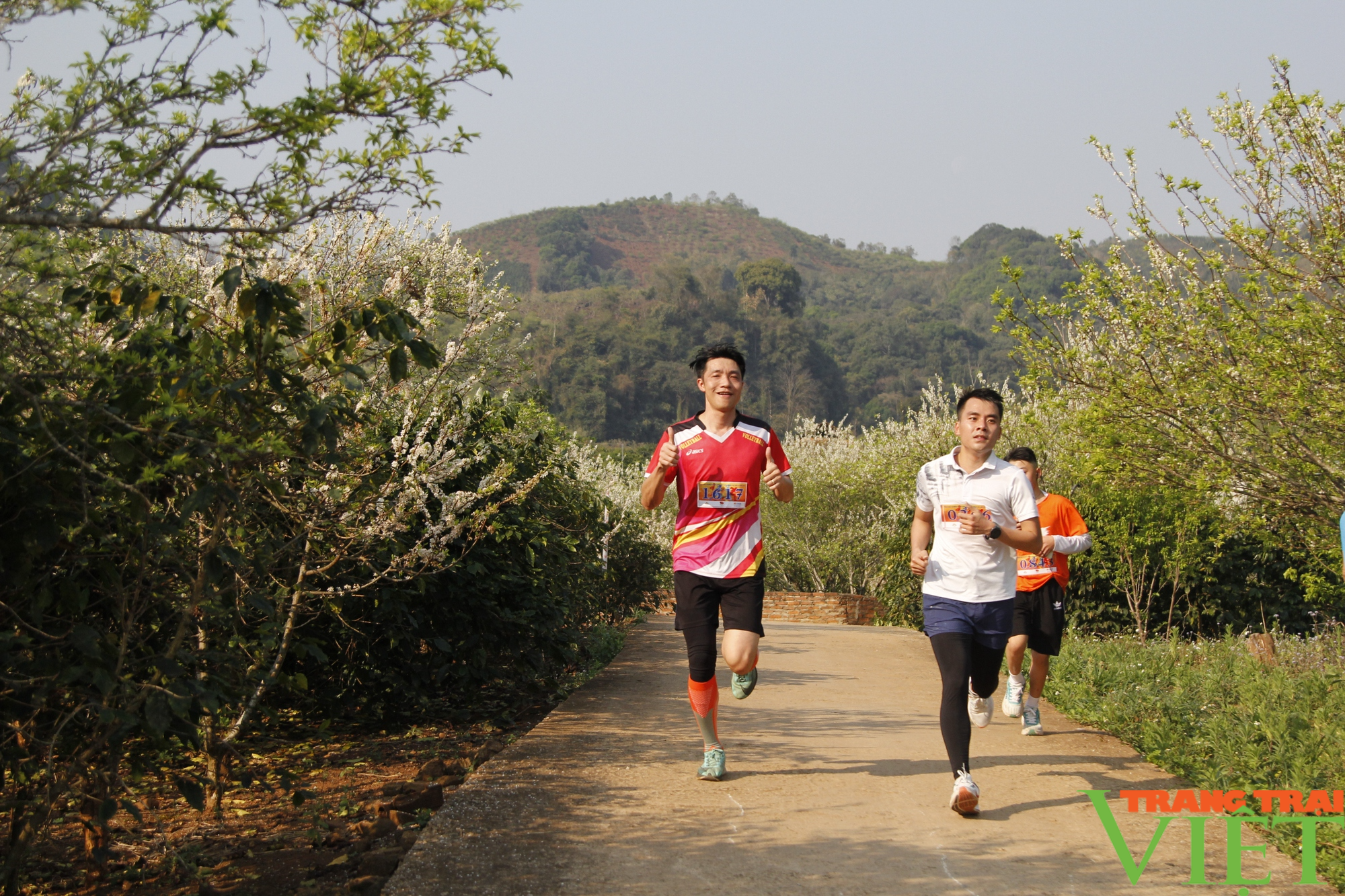 Sơn La: Hàng nghìn người tham gia chạy Olympic - Ảnh 3.