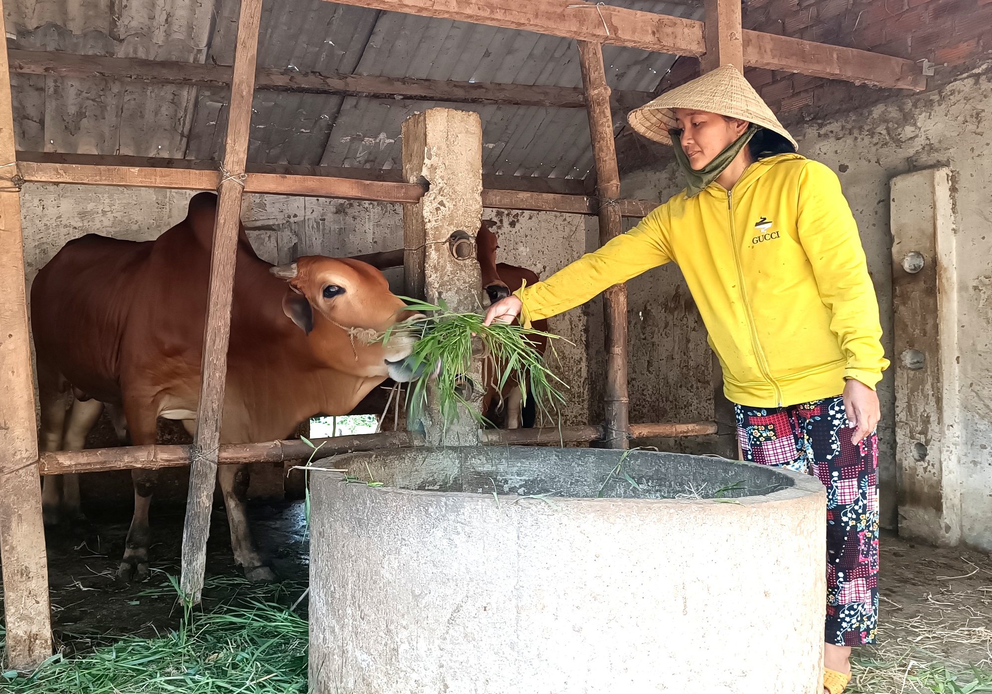 Vạn Ninh: Dư nợ đạt hơn 130 tỷ đồng - Ảnh 1. Vạn Ninh: Dư nợ đạt hơn 130 tỷ đồng - Ảnh 1.