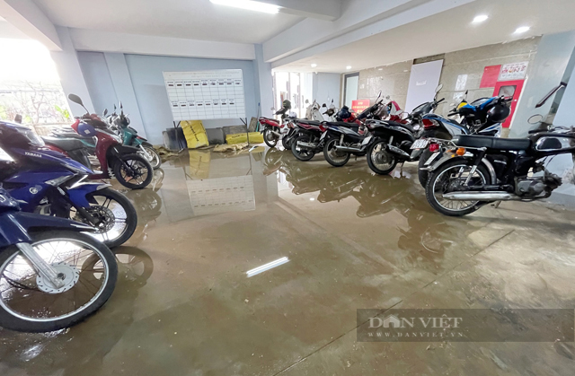 Quảng Ngãi: Điệp khúc thấm, hỏng thiết bị ở trụ sở UBND huyện 80 tỷ chưa bàn giao  - Ảnh 3.