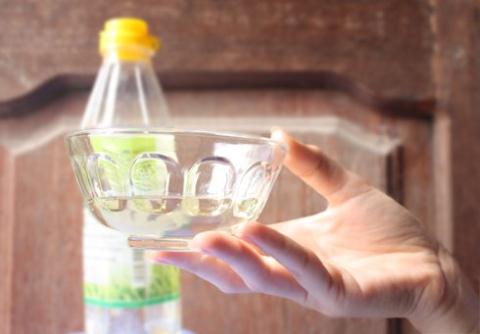 2 loại cây cảnh thích được &quot;đầm mình&quot; trong dấm, cứ 30 ngày tưới 1 lần, bao xanh, bao tốt, bao hoa nở thành chùm - Ảnh 1.