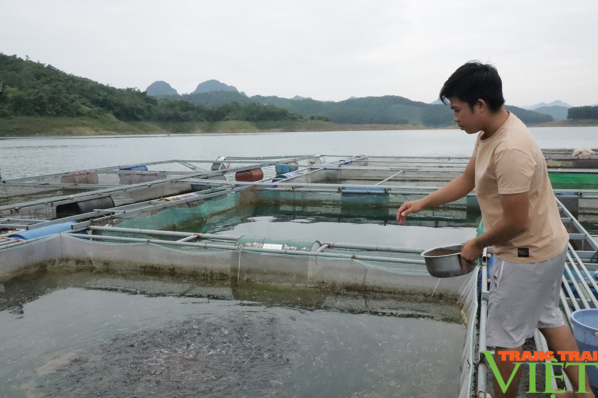 Bỏ kế toán về nuôi con đặc sản, trai Mường Hòa Bình lãi trăm triệu - Ảnh 3. Bỏ kế toán về nuôi con đặc sản, trai Mường Hòa Bình lãi trăm triệu - Ảnh 3.