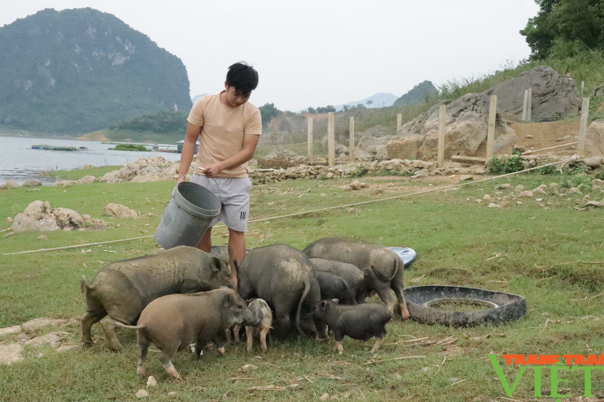Bỏ kế toán về nuôi con đặc sản, trai Mường Hòa Bình lãi trăm triệu - Ảnh 4. Bỏ kế toán về nuôi con đặc sản, trai Mường Hòa Bình lãi trăm triệu - Ảnh 4.