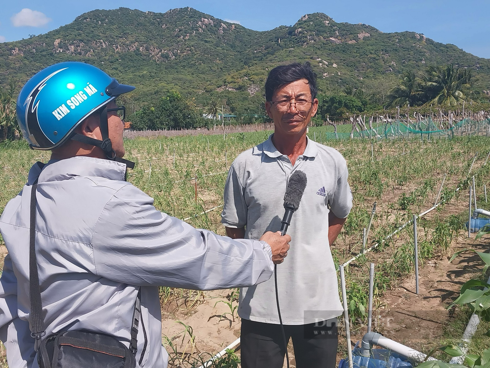 Lãnh đạo Sở NN&PTNT nói gì về báo cáo vụ tỏi mất vùa mất giá mà Dân Việt đã phản ánh? - Ảnh 5.