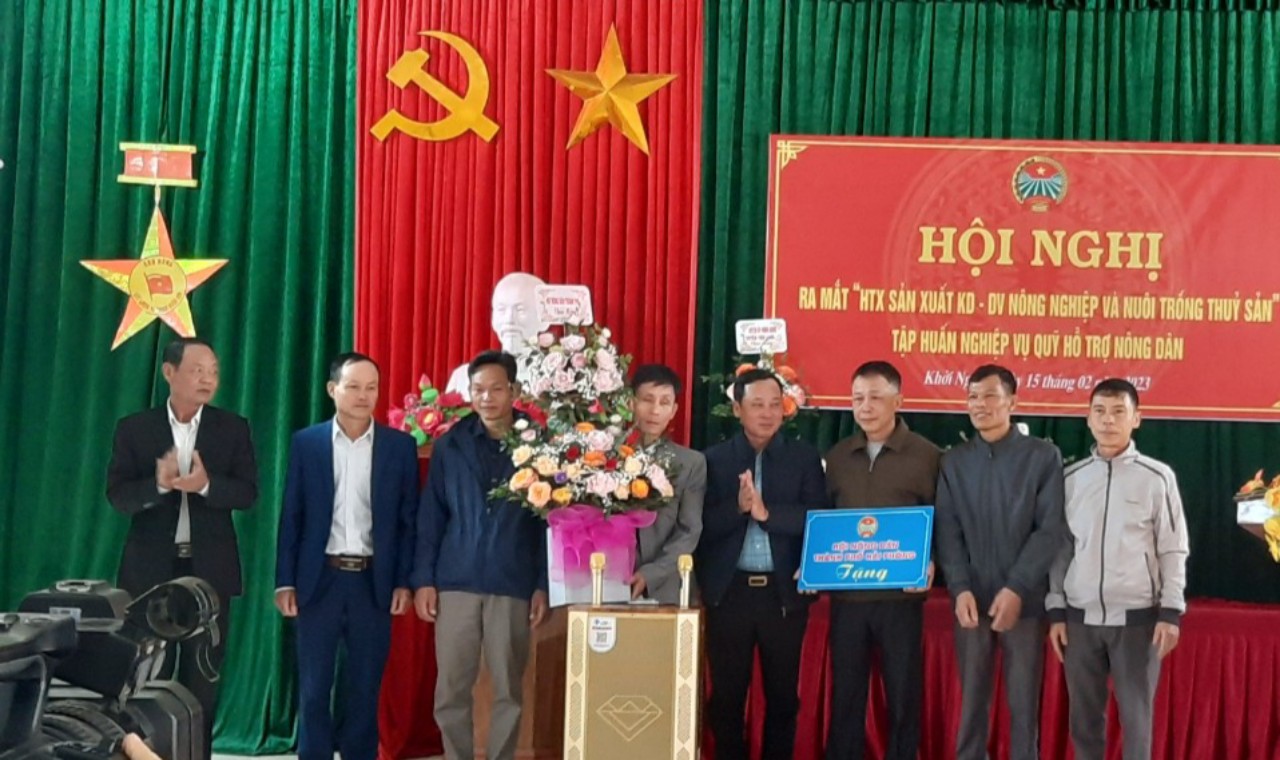 Hội Nông dân Hải Phòng: Ra mắt HTX đầu tiên năm 2023, giải ngân 1 tỷ từ quỹ Hỗ trợ nông dân nguồn thành phố - Ảnh 1.