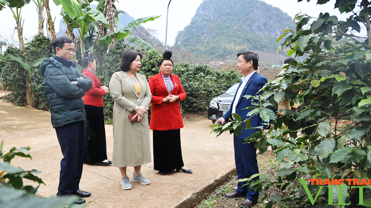 TW Hội Nông dân Việt Nam làm việc với tỉnh Sơn La - Ảnh 5. TW Hội Nông dân Việt Nam làm việc với tỉnh Sơn La - Ảnh 5.