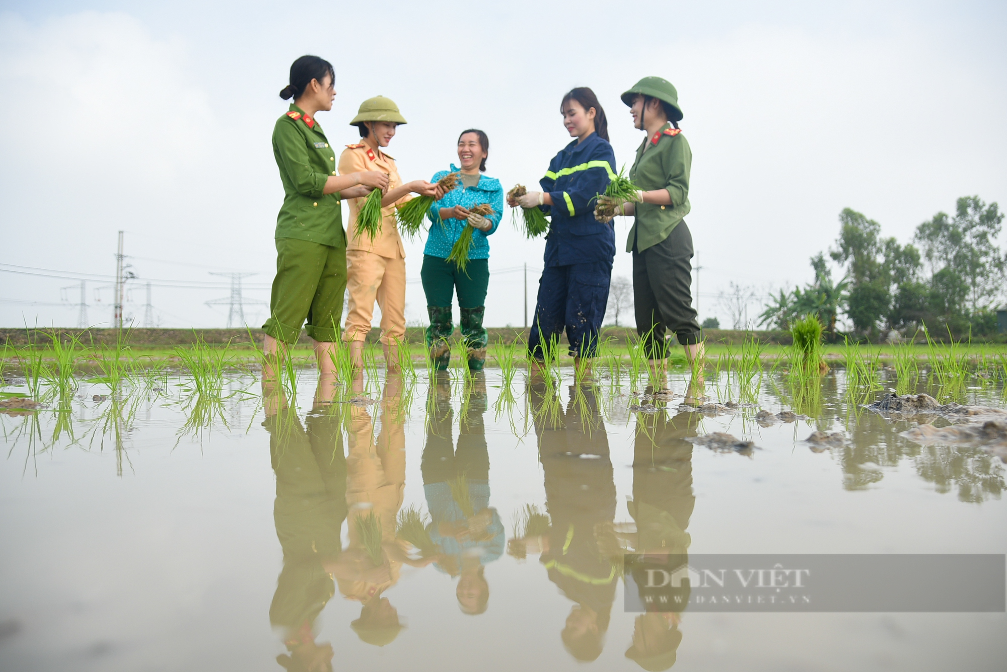 Hình ảnh Công an Thủ đô bì bõm lội ruộng giúp dân cấy lúa vụ Chiêm Xuân - Ảnh 14.