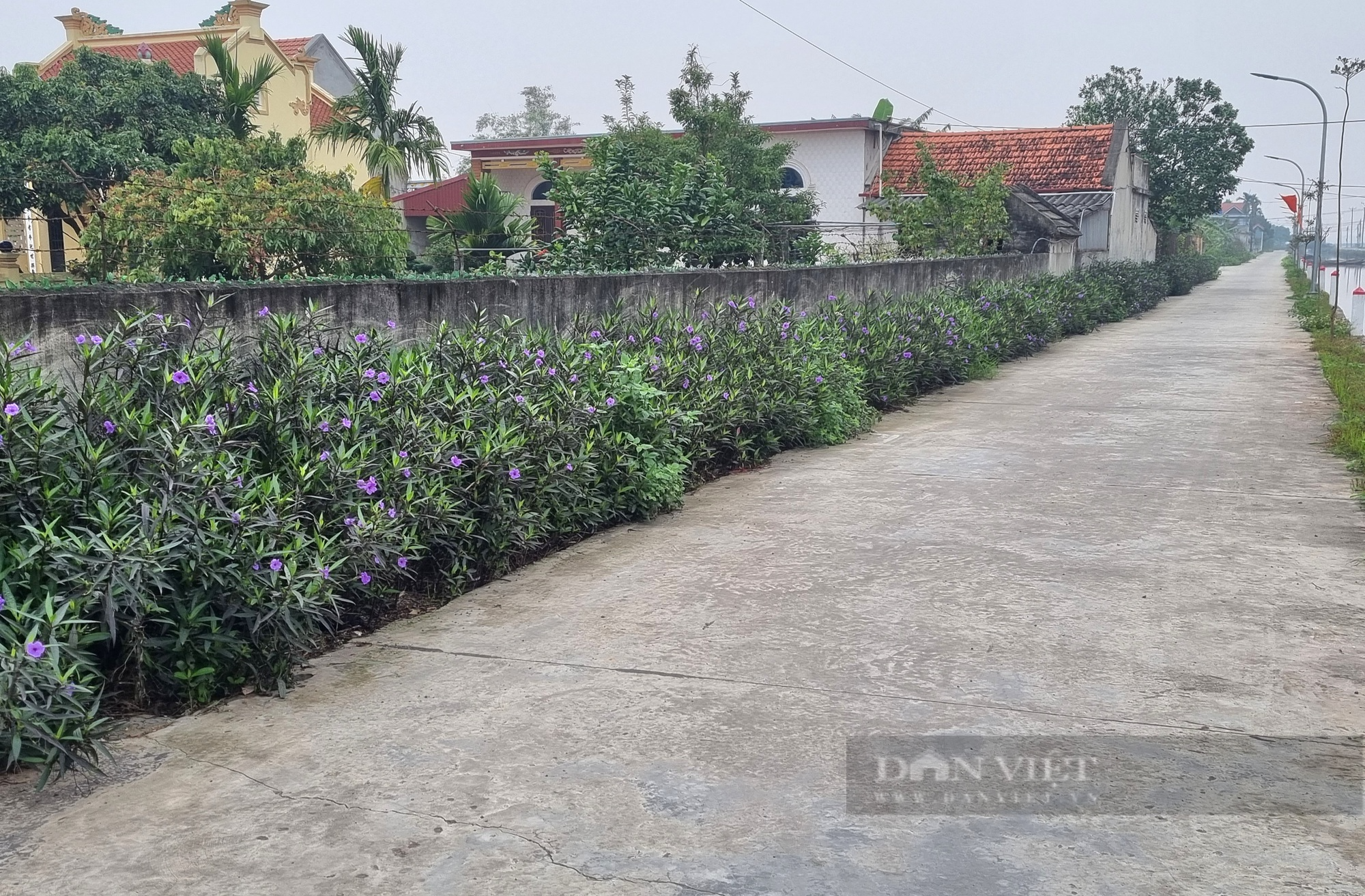 Nông thôn mới Đồng Hướng, một giáo dân gương mẫu, làm kinh tế giỏi - Ảnh 8.