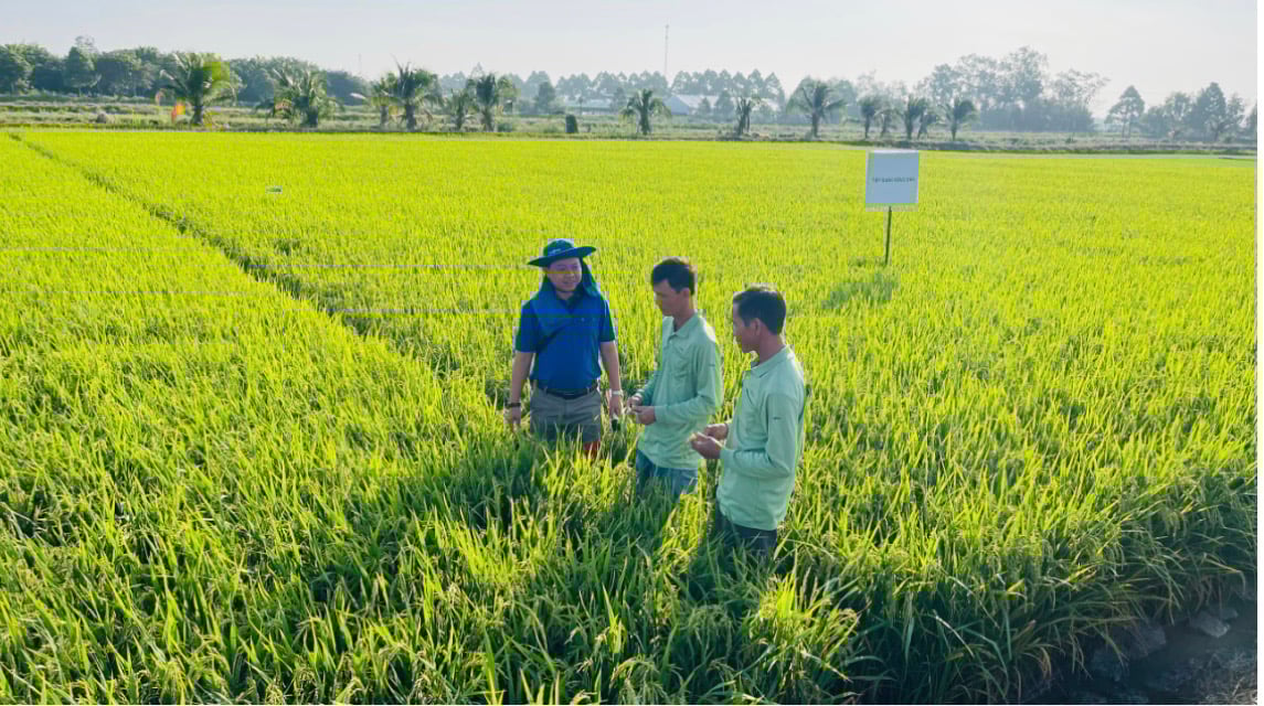 Hội Thảo Công Nghệ Tiên Tiến trong canh tác lúa: Incipio 200SC – Giải Pháp Đột Phá Công Phá Tính Kháng của sâu hại - Ảnh 3.