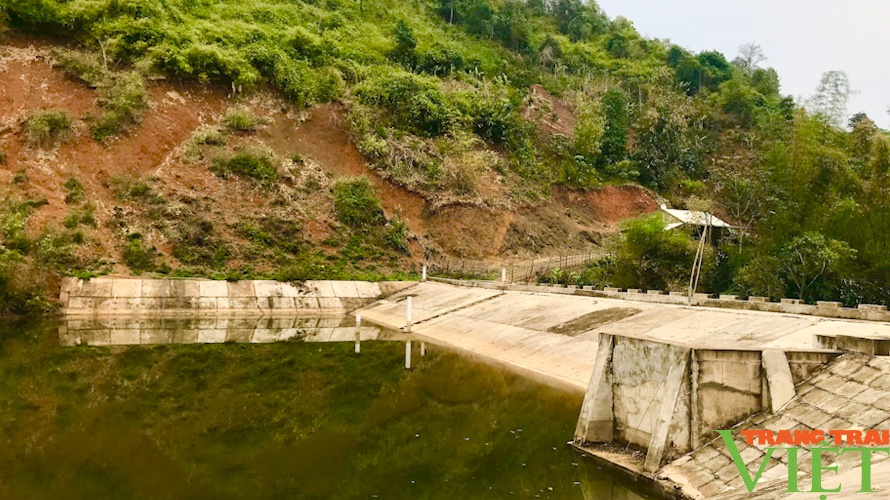 Vùng cao hối hả xuống đồng gieo cấy vụ lúa xuân - Ảnh 4. Vùng cao hối hả xuống đồng gieo cấy vụ lúa xuân - Ảnh 4.