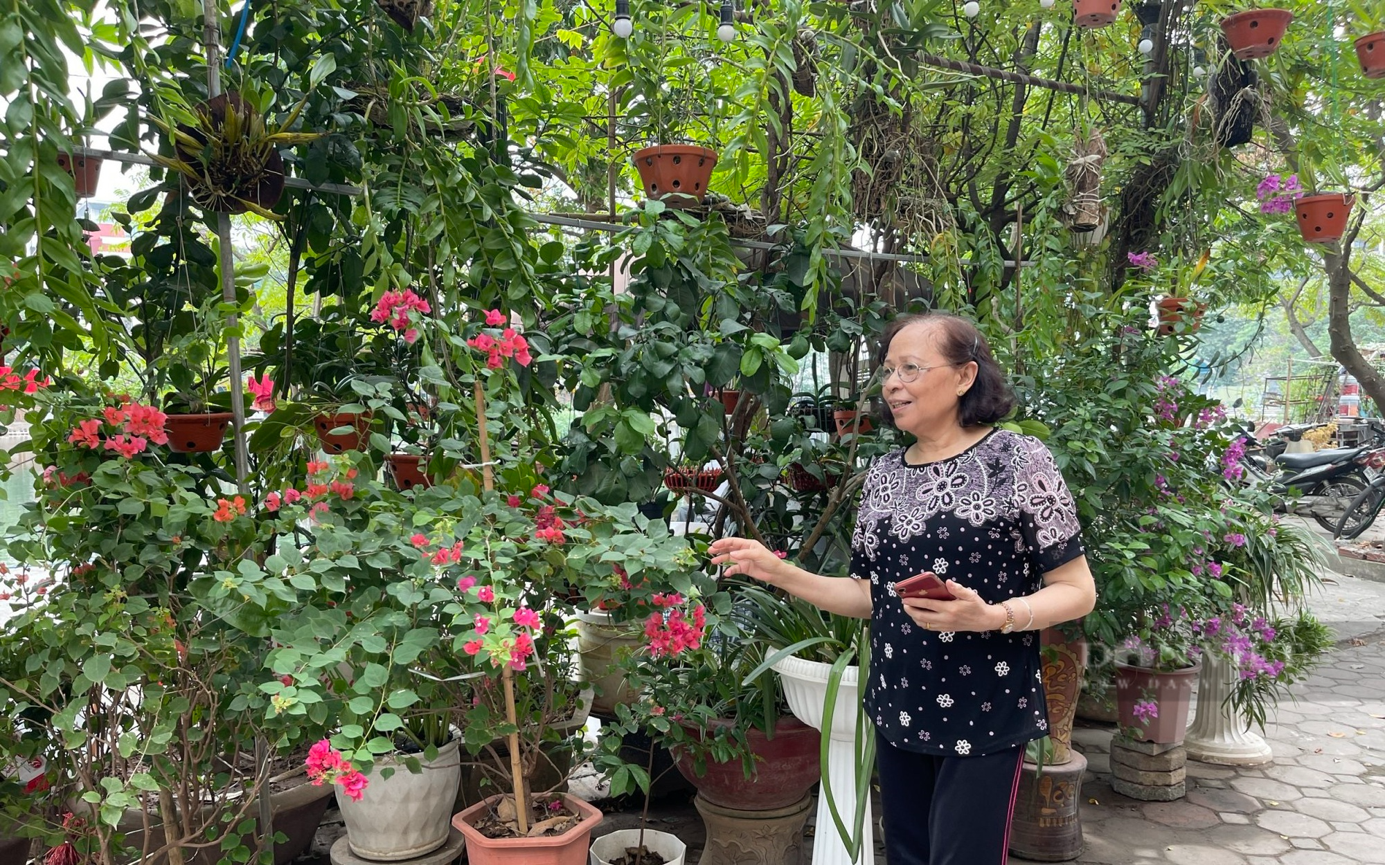 Người trồng hoa mang xuân về phố - Ảnh 1.