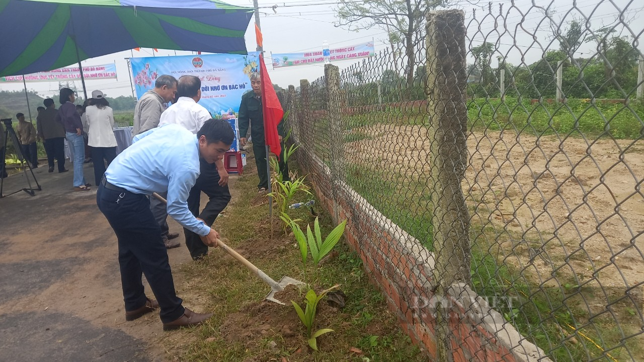 Hội Nông dân TP Đà Nẵng tổ chức Lễ phát động “Tết trồng cây đời đời nhớ ơn Bác Hồ” năm 2023 - Ảnh 5.
