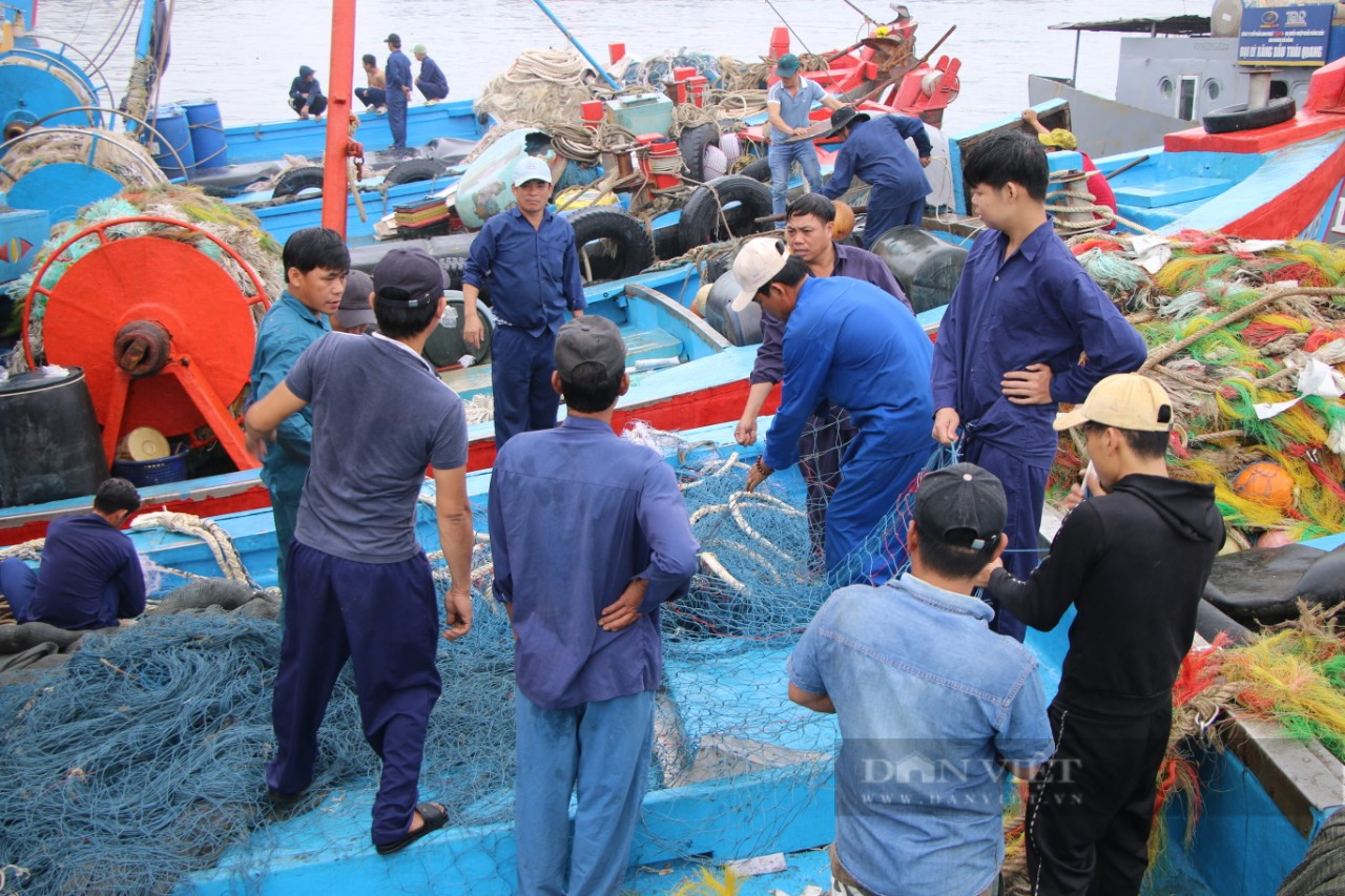 Ngư dân miền Trung chi tiền tỷ vươn khơi đầu năm - Ảnh 1.