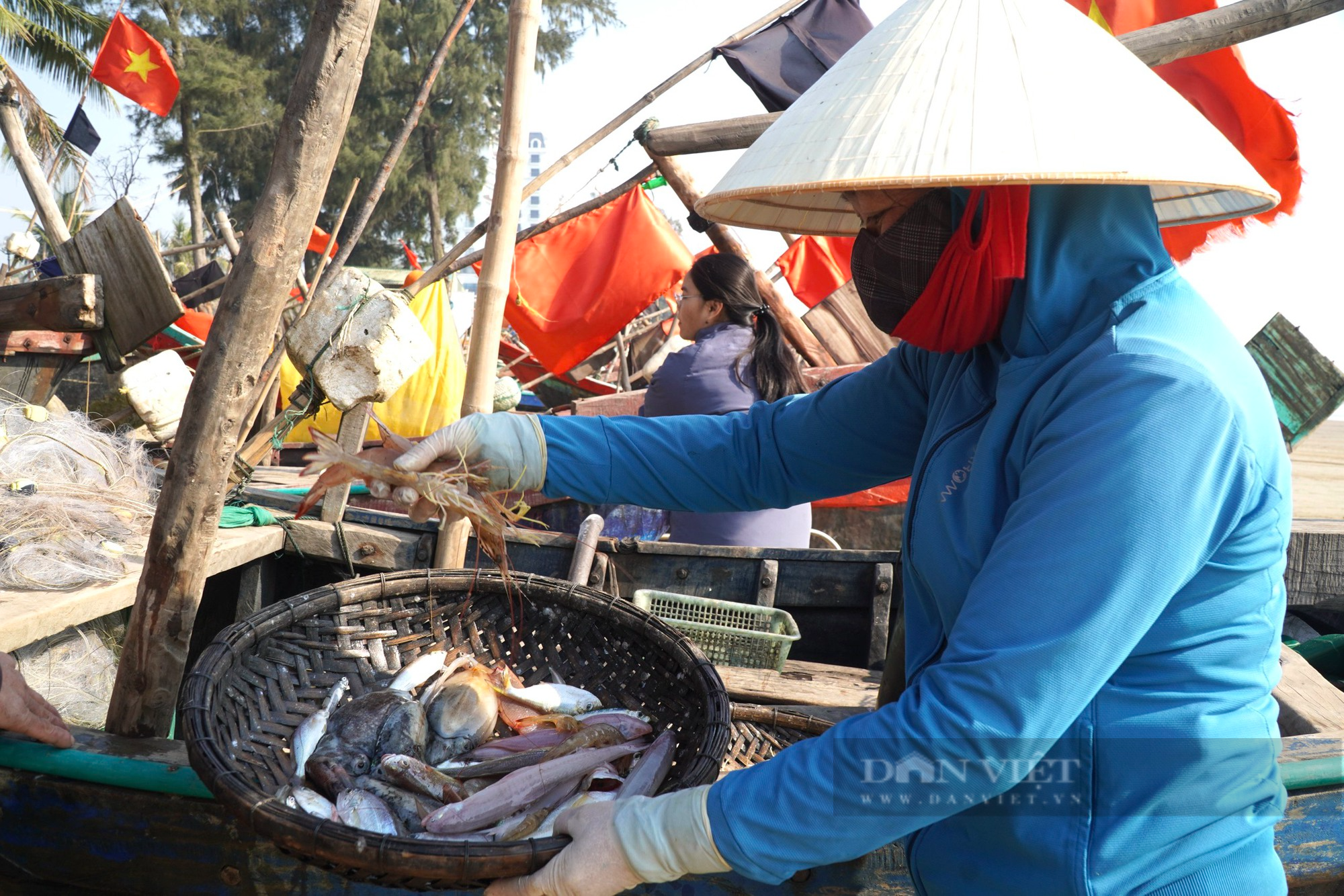 Cá gì mà giá hơn nửa triệu đồng/kg nhưng ngư dân xứ Thanh vẫn không có để bán? - Ảnh 4.