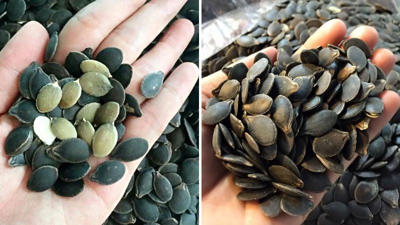 Loại quả trồng ở nơi đất nghèo, trước leo bờ rào, bờ bụi bất ngờ thành đặc sản được chị em săn lùng dịp Tết - Ảnh 5.