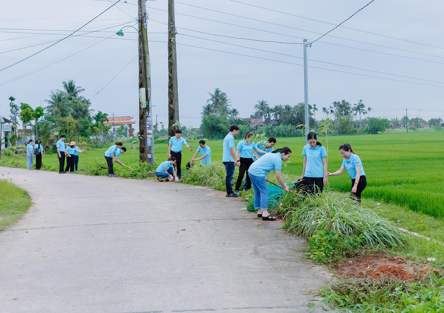 Agribank Quảng Ngãi hưởng ứng Chương trình vì tương lai xanh - thêm cây thêm sự sống - Ảnh 3. Agribank Quảng Ngãi hưởng ứng Chương trình vì tương lai xanh - thêm cây thêm sự sống - Ảnh 3.