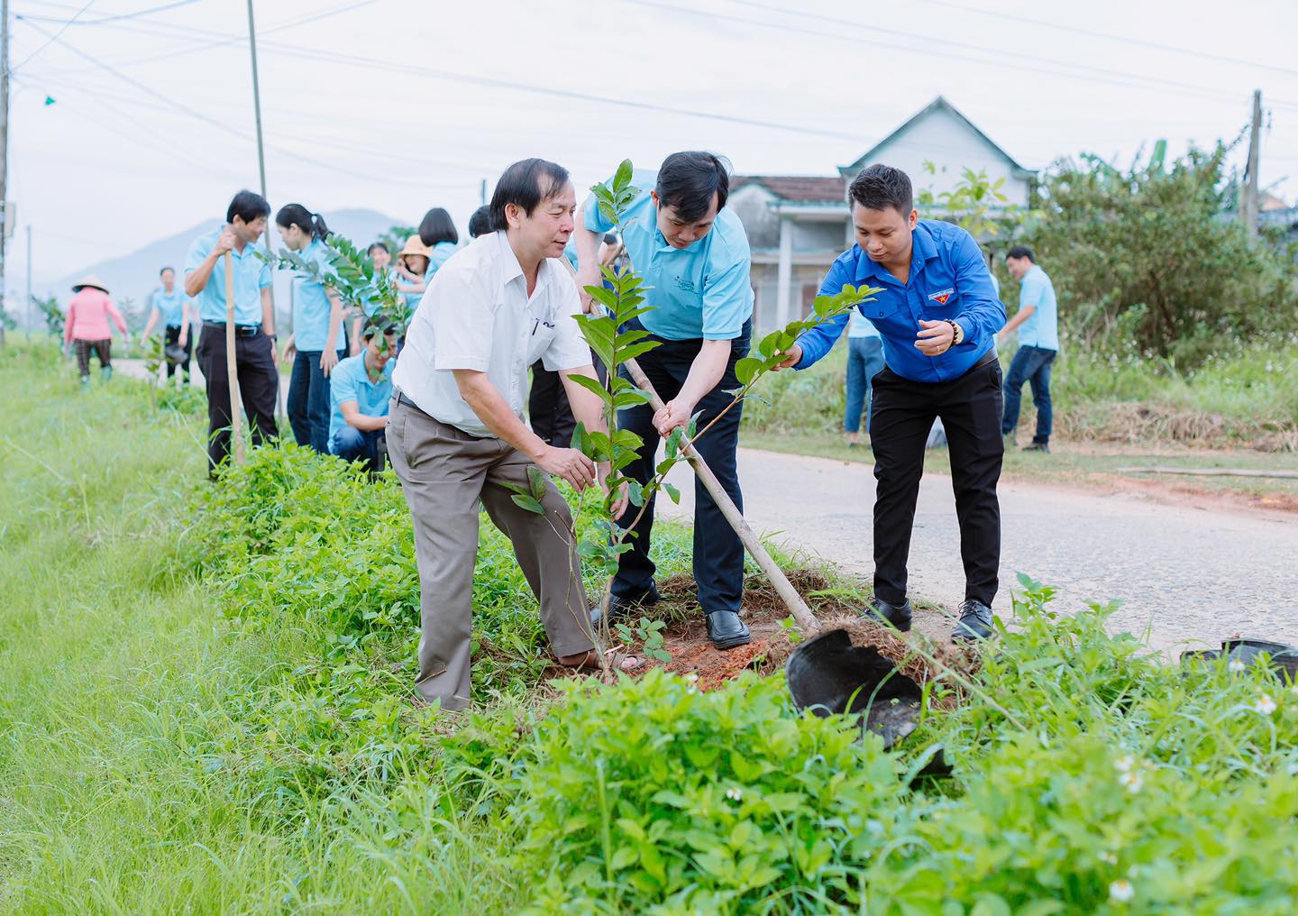 Agribank Quảng Ngãi hưởng ứng Chương trình vì tương lai xanh - thêm cây thêm sự sống - Ảnh 2. Agribank Quảng Ngãi hưởng ứng Chương trình vì tương lai xanh - thêm cây thêm sự sống - Ảnh 2.