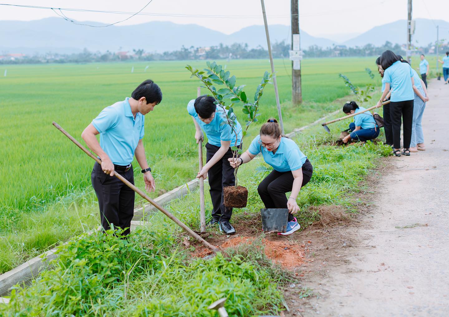 Agribank Quảng Ngãi hưởng ứng Chương trình vì tương lai xanh - thêm cây thêm sự sống - Ảnh 1. Agribank Quảng Ngãi hưởng ứng Chương trình vì tương lai xanh - thêm cây thêm sự sống - Ảnh 1.