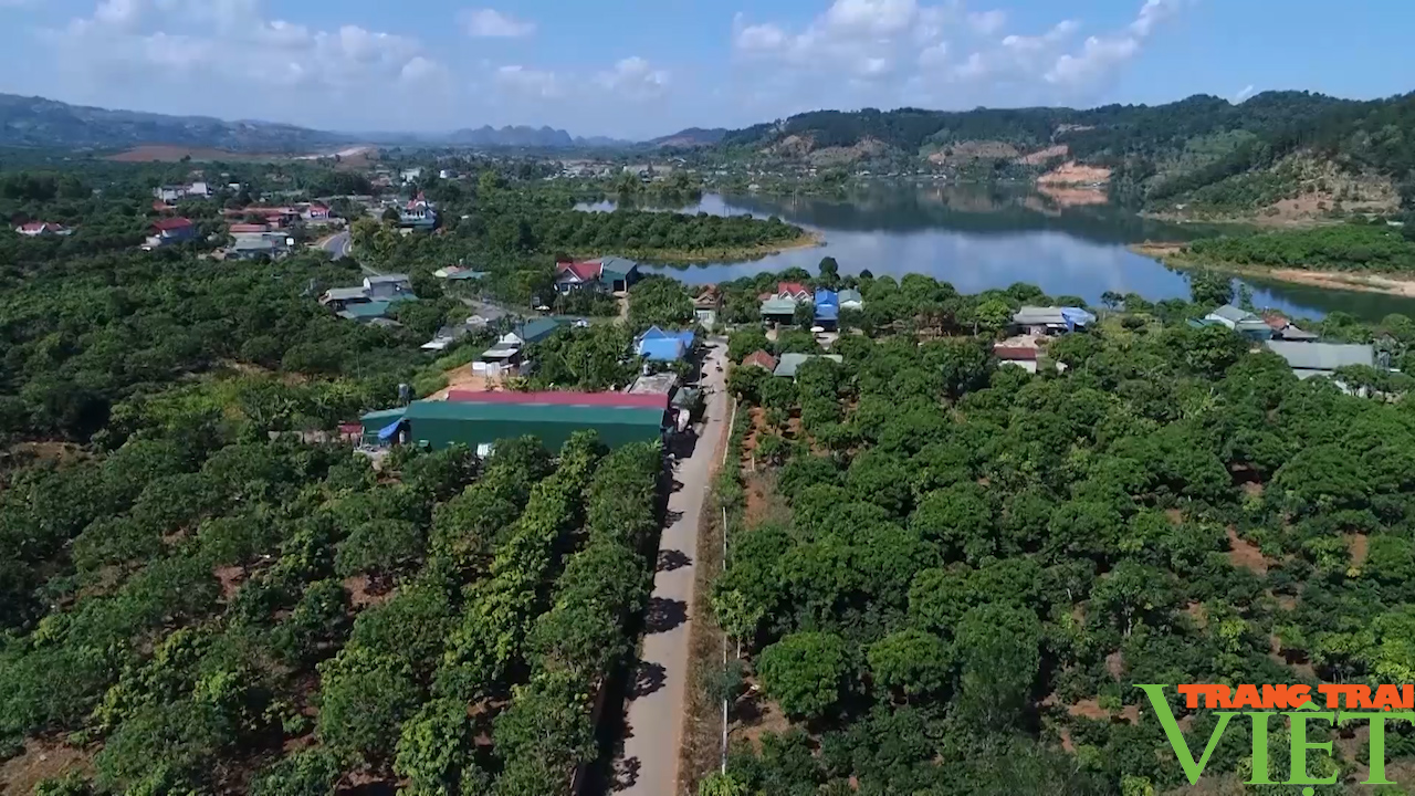 Đào ao thả cá, trồng cây ăn quả, lão nông cao nguyên lãi đậm - Ảnh 2. Đào ao thả cá, trồng cây ăn quả, lão nông cao nguyên lãi đậm - Ảnh 2.