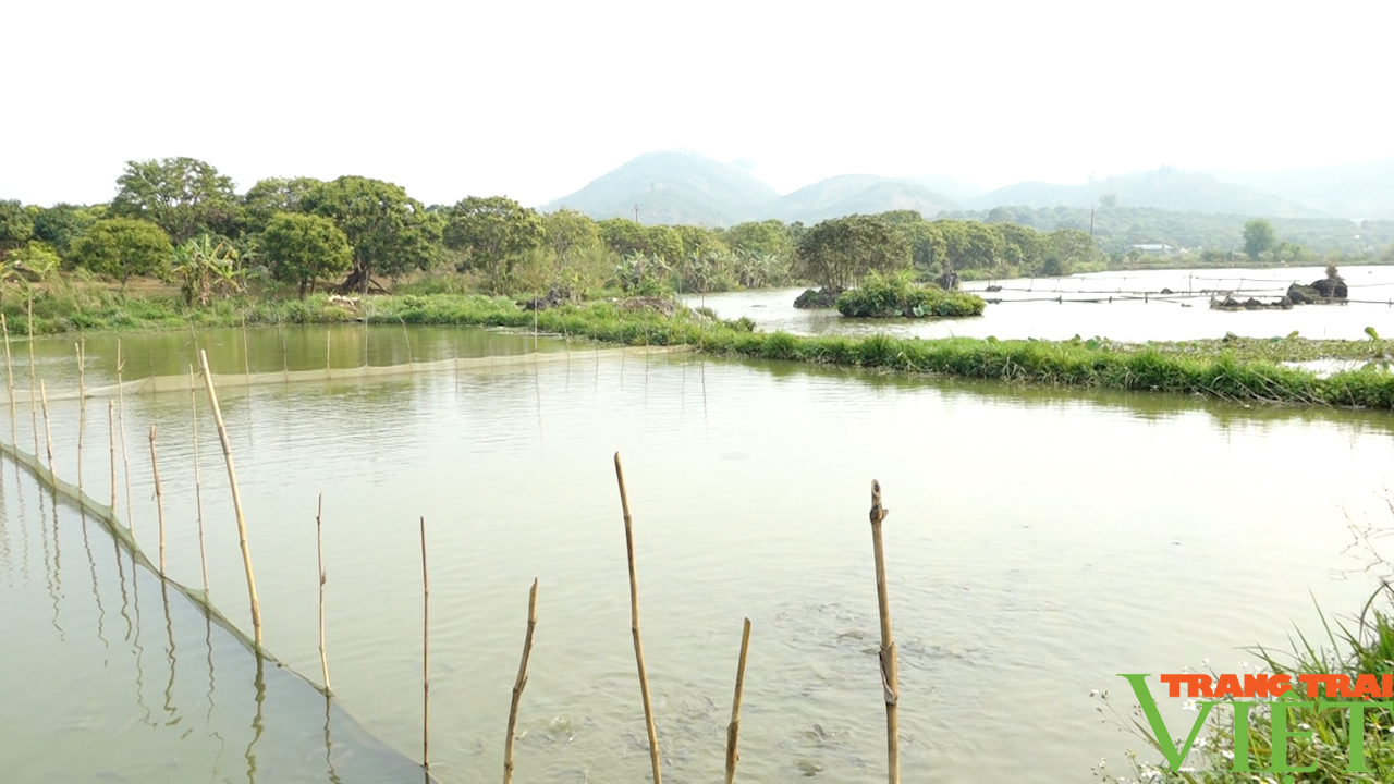 Đào ao thả cá, trồng cây ăn quả, lão nông cao nguyên lãi đậm - Ảnh 3. Đào ao thả cá, trồng cây ăn quả, lão nông cao nguyên lãi đậm - Ảnh 3.
