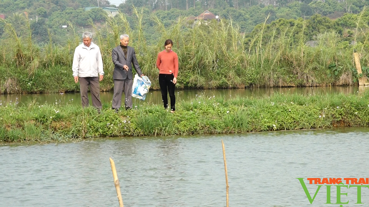 Đào ao thả cá, trồng cây ăn quả, lão nông cao nguyên lãi đậm - Ảnh 4. Đào ao thả cá, trồng cây ăn quả, lão nông cao nguyên lãi đậm - Ảnh 4.