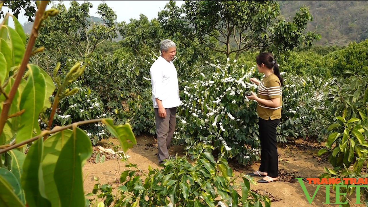 Đào ao thả cá, trồng cây ăn quả, lão nông cao nguyên lãi đậm - Ảnh 8. Đào ao thả cá, trồng cây ăn quả, lão nông cao nguyên lãi đậm - Ảnh 8.
