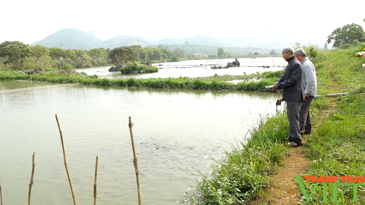 Đào ao thả cá, trồng cây ăn quả, lão nông cao nguyên lãi đậm - Ảnh 10. Đào ao thả cá, trồng cây ăn quả, lão nông cao nguyên lãi đậm - Ảnh 10.