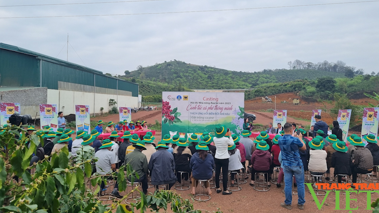 Sơn La: Canh tác cà phê thông minh - Ảnh 1.