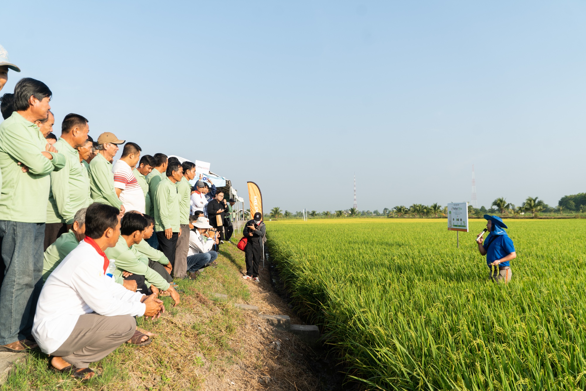 Các nhà khoa học và chuyên gia Syngenta giới thiệu gói kỹ thuật canh tác tiên tiến cho nông dân - Ảnh 4.