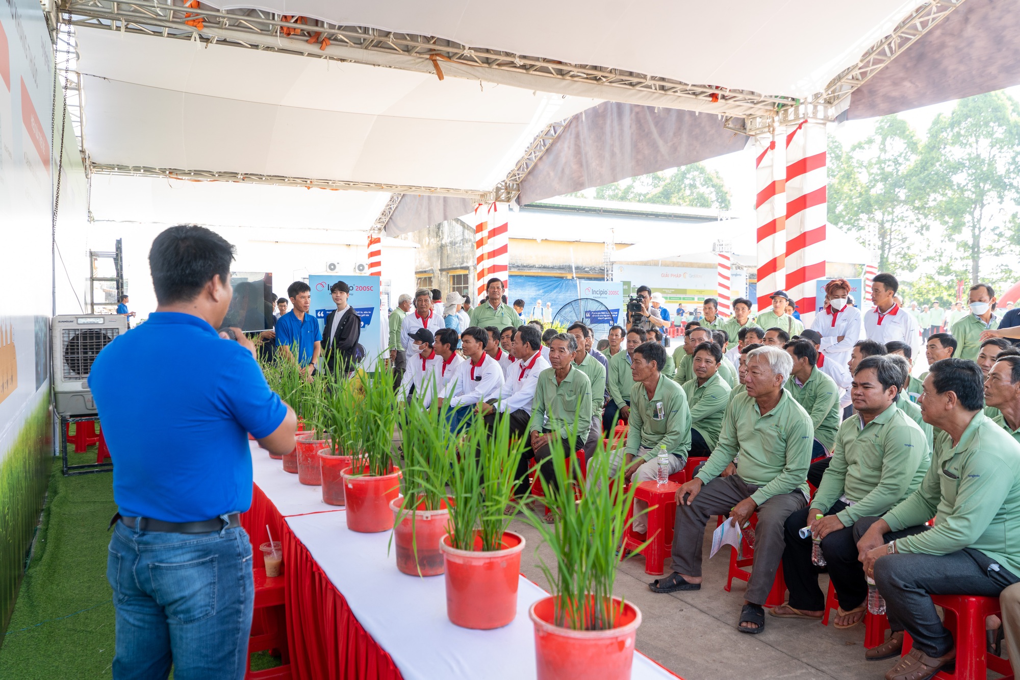 Các nhà khoa học và chuyên gia Syngenta giới thiệu gói kỹ thuật canh tác tiên tiến cho nông dân - Ảnh 1.