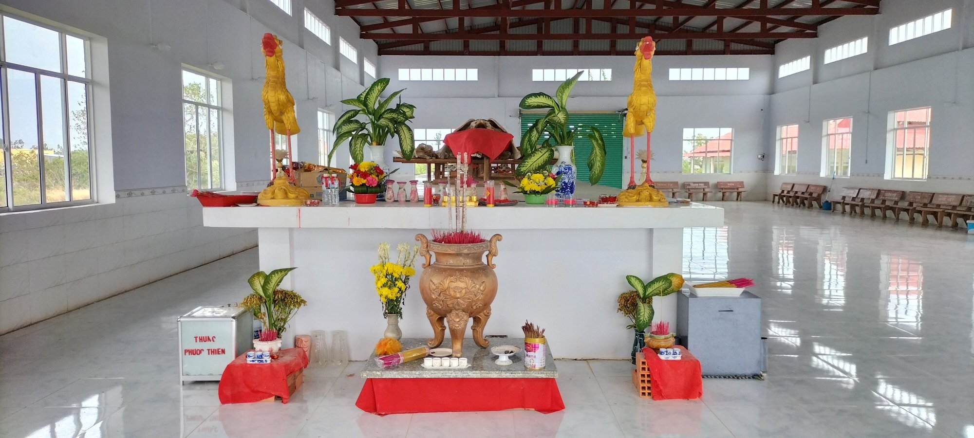 Bộ xương cá Ông quý hiếm, lớn nhất miền Tây ở Cái Cùng, Bạc Liêu - Ảnh 6.