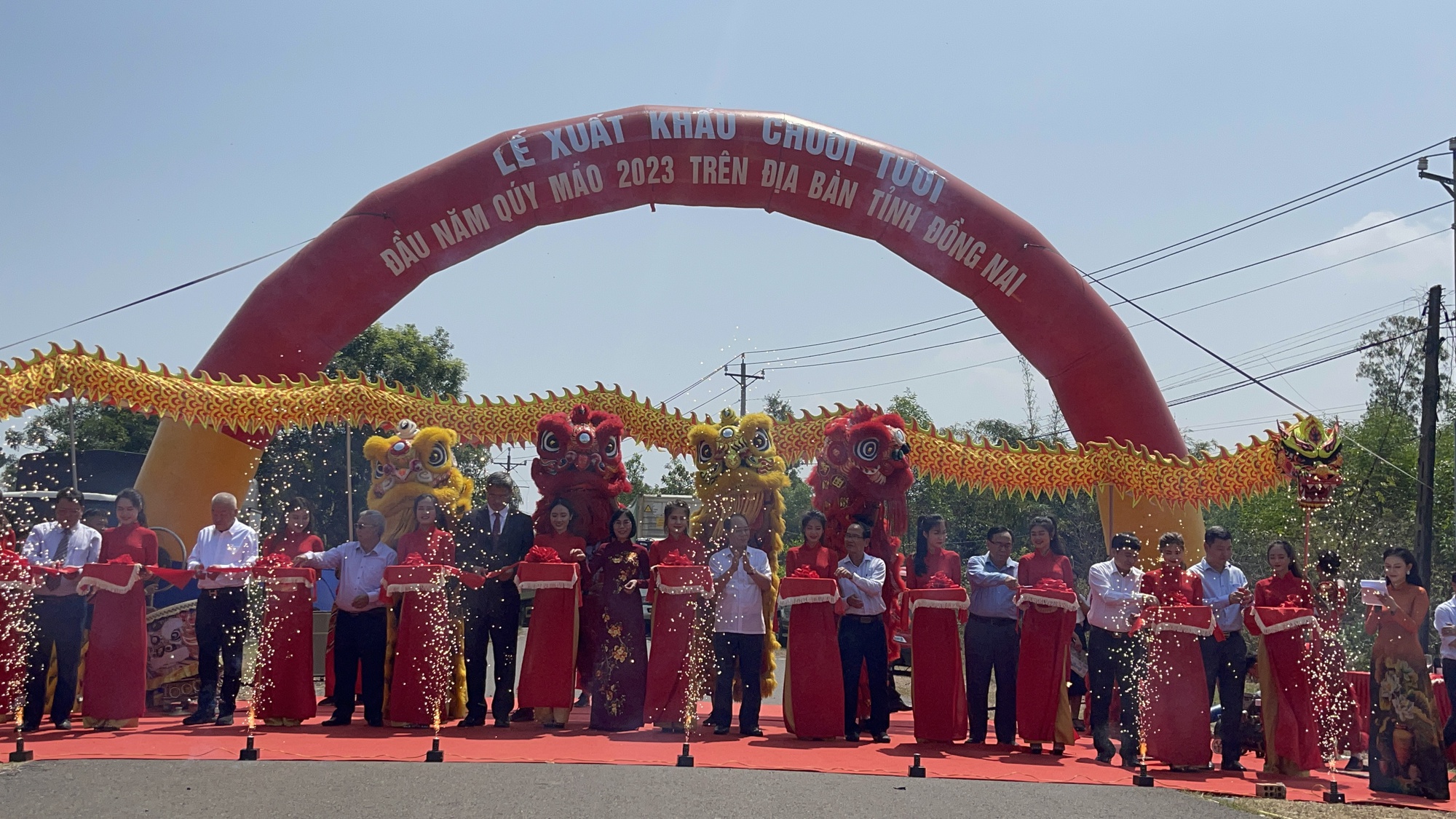 Mới gần 2 tháng, Đồng Nai đã xuất khẩu 200.000 tấn chuối - Ảnh 1.