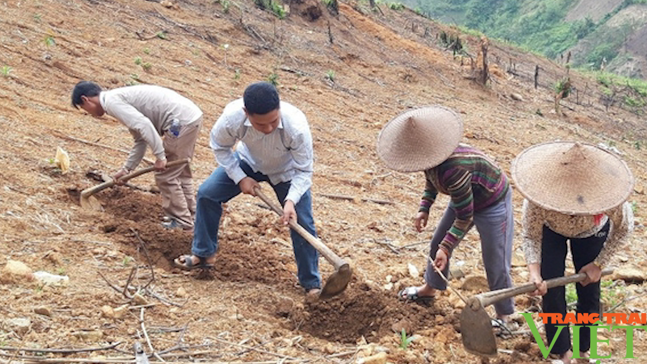 Chuyện thoát nghèo của người La Hủ - Ảnh 6. Chuyện thoát nghèo của người La Hủ - Ảnh 6.