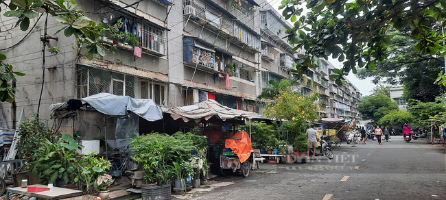 TP.HCM đề nghị &quot;gỡ vướng&quot; thực hiện tái định cư tại Cư xá Thanh Đa  - Ảnh 3.