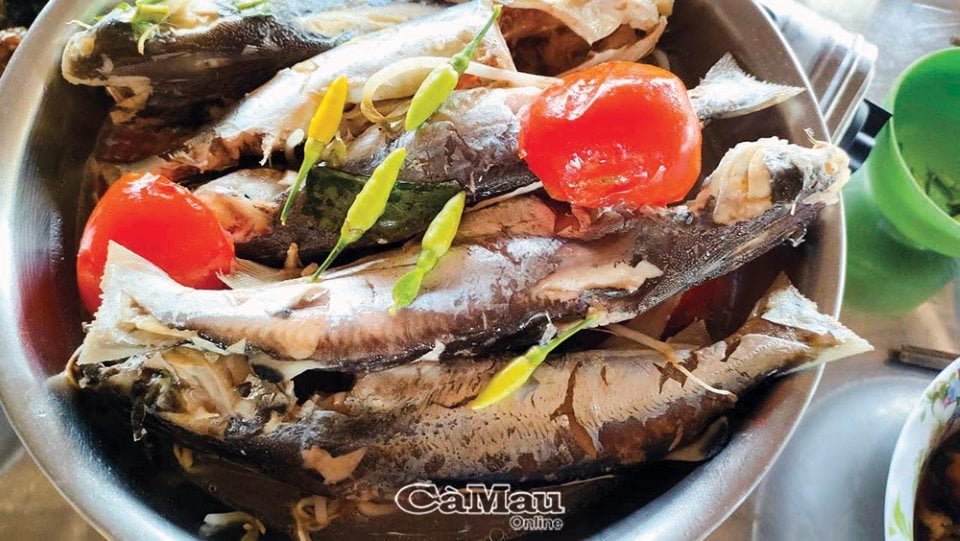 Gỡ vô số loài cá úc ở vùng quê này của Cà Mau, hai vợ chồng khiêng nặng 50kg cá ngon lên bờ - Ảnh 7.