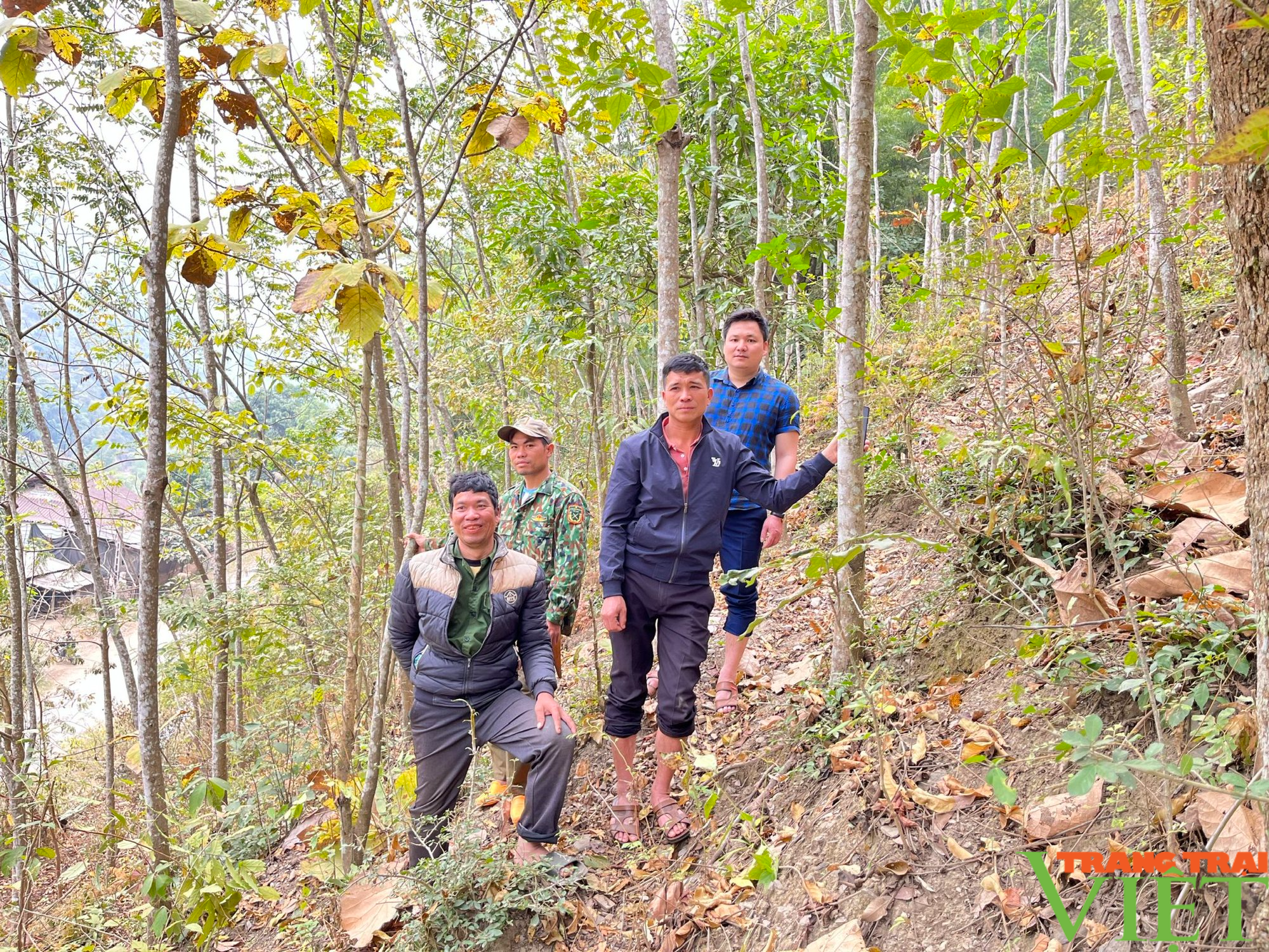 Xã vùng cao Sơn La chủ động phòng “giặc lửa” mùa hanh khô - Ảnh 2. Xã vùng cao Sơn La chủ động phòng “giặc lửa” mùa hanh khô - Ảnh 2.