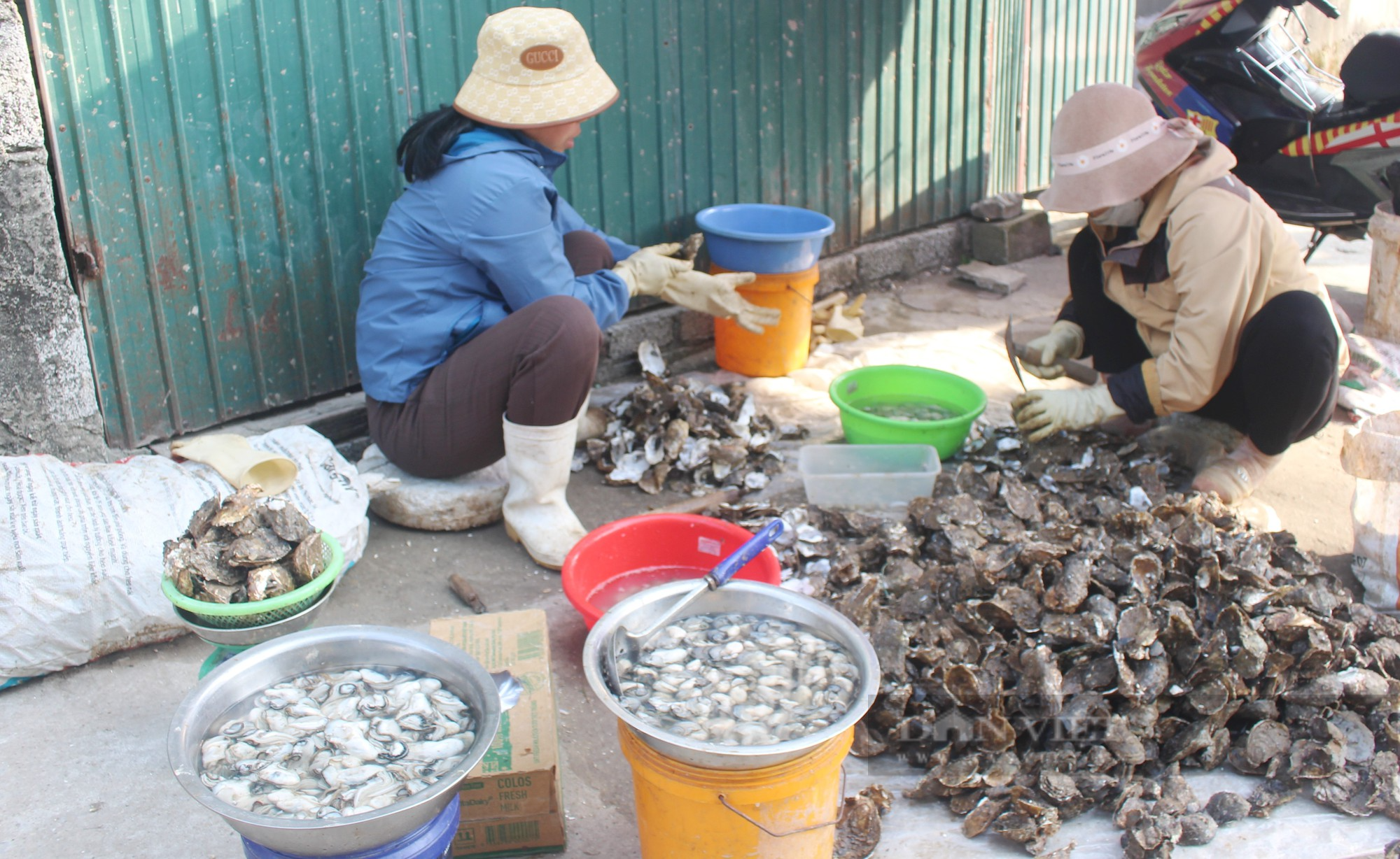 Nuôi con tăng cường sinh lực cho phái mạnh, năm nay ngày thu hoạch nông dân lại buồn thiu - Ảnh 3.