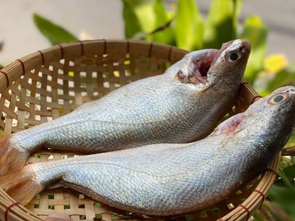 7 loại cá tự nhiên giàu dinh dưỡng, gặp mua ngay - Ảnh 4.