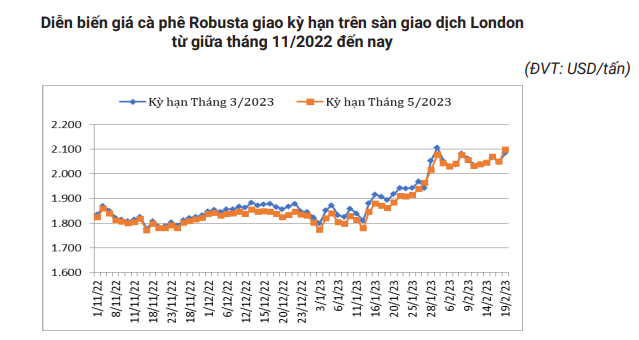 Ghi nhận tuần tăng, dự báo &quot;nóng&quot; về giá cà phê thời gian tới - Ảnh 4.