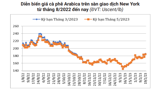 Ghi nhận tuần tăng, dự báo &quot;nóng&quot; về giá cà phê thời gian tới - Ảnh 5.