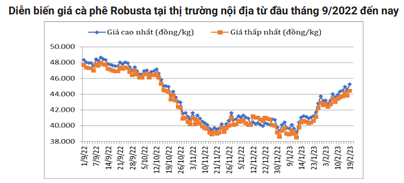 Ghi nhận tuần tăng, dự báo &quot;nóng&quot; về giá cà phê thời gian tới - Ảnh 6.