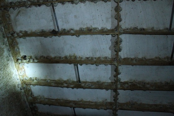 Xuất khẩu tổ yến sang Trung Quốc: Mã định danh - mảnh ghép còn thiếu - Ảnh 2. Xuất khẩu tổ yến sang Trung Quốc: Mã định danh - mảnh ghép còn thiếu - Ảnh 2.
