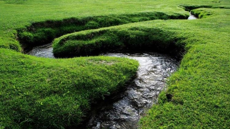 Dòng sông hẹp bé nhất thế giới  - Ảnh 2.