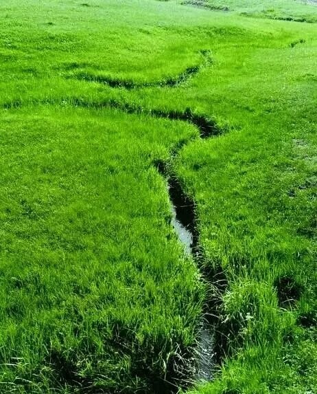Dòng sông hẹp bé nhất thế giới  - Ảnh 5.