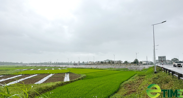 “Lạ” với dự án đường hoành tráng bị cụt đầu nằm thoi loi giữa đồng ruộng ở Quảng Ngãi - Ảnh 1.