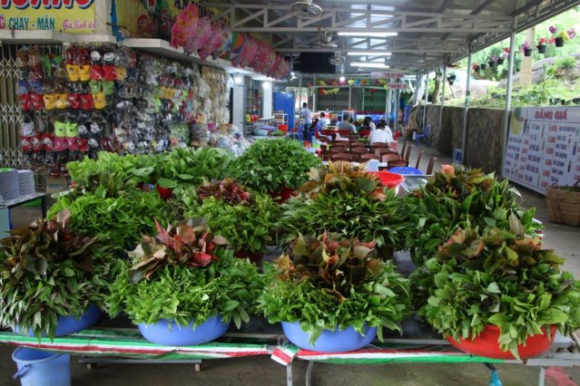 &quot;Kính thưa các loại rau rừng&quot; danh bất hư truyền núi Cấm, nơi các vị đạo sĩ huyền thoại tu luyện - Ảnh 2.