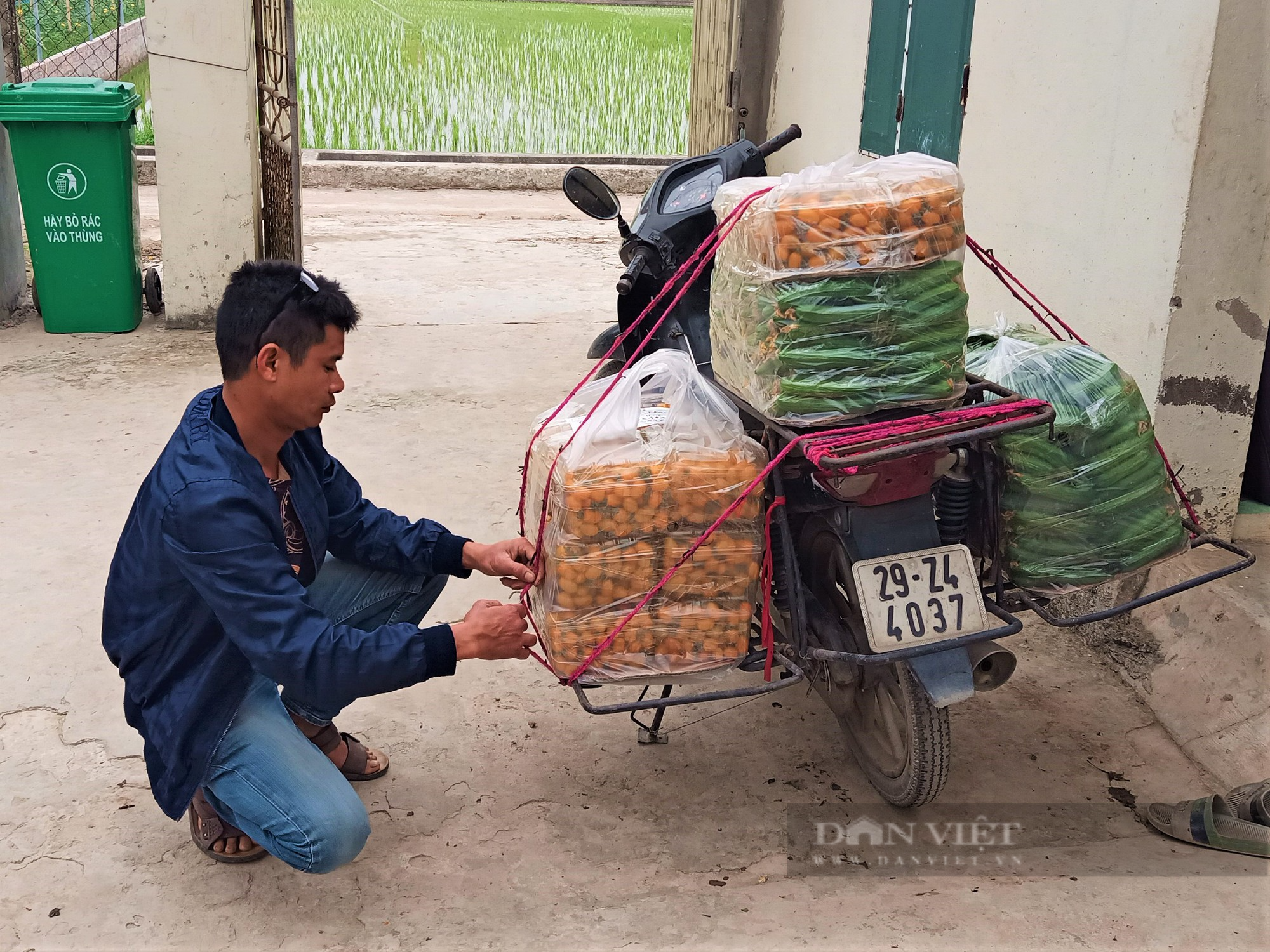 Bỏ phố về làng, anh nông dân ở Hải Dương khởi nghiệp nông nghiệp &quot;sạch&quot;, quả vặt ăn liền, bán giá cao, thu bộn tiền - Ảnh 5.