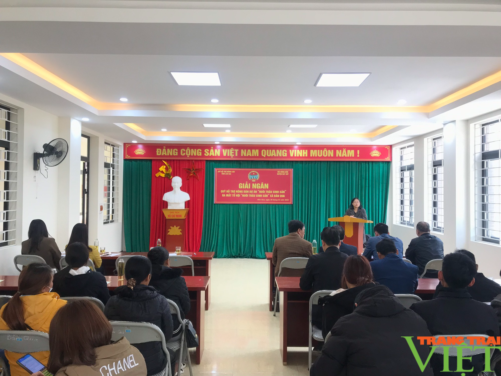Hội Nông dân Lào Cai: Giải ngân Quỹ Hỗ trợ nông dân “Nuôi trâu sinh sản ”  - Ảnh 1.